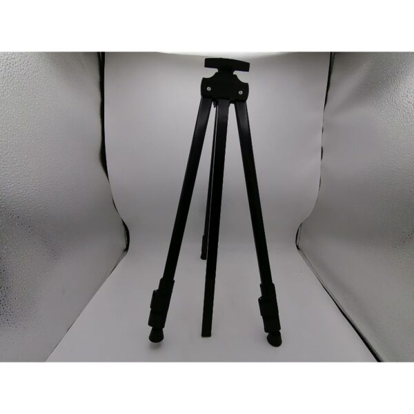 The Women Of The Ancient Kasbah