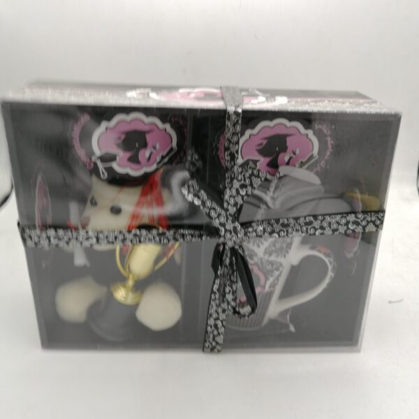 دب صغير مع شهادة وكأس تخرج بكيس